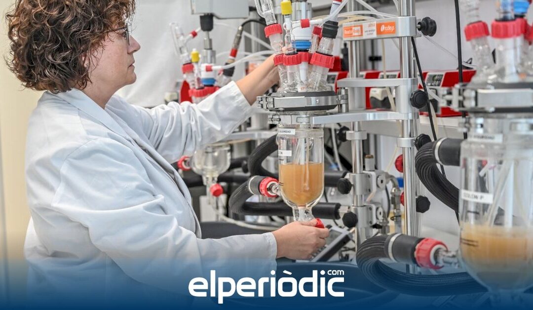 El Consell impulsa la innovación alimentaria a través de la investigación de nuevos productos saludables para la microbiota colónica