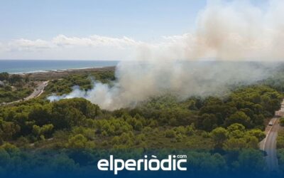 PIRÓMANO SALER | La juez de guardia de Valencia decreta prisión incondicional para el pirómano del Saler