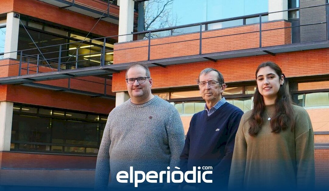 Descubren una importante ruta migratoria de neuronas jóvenes en el cerebro de niños y niñas recién nacidos