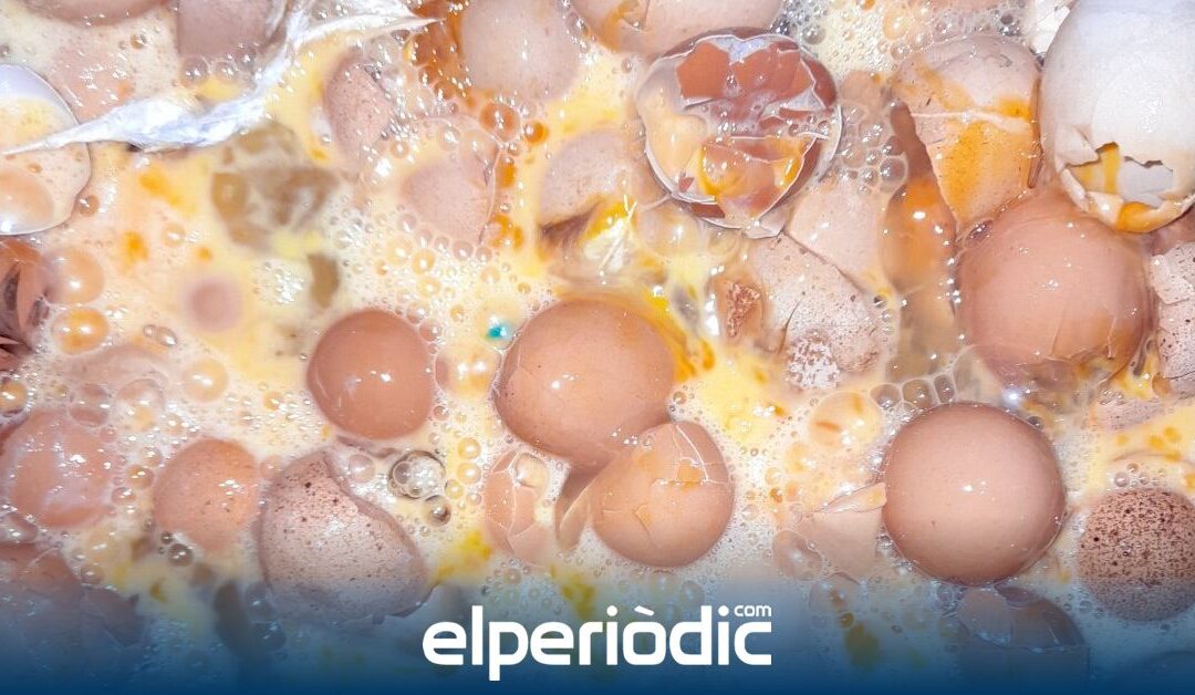 serán materias primas para el calzado y la cerámica