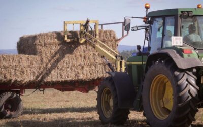 Los agricultores descartan de momento nuevas tractoradas tras el pacto para flexibilizar la PAC