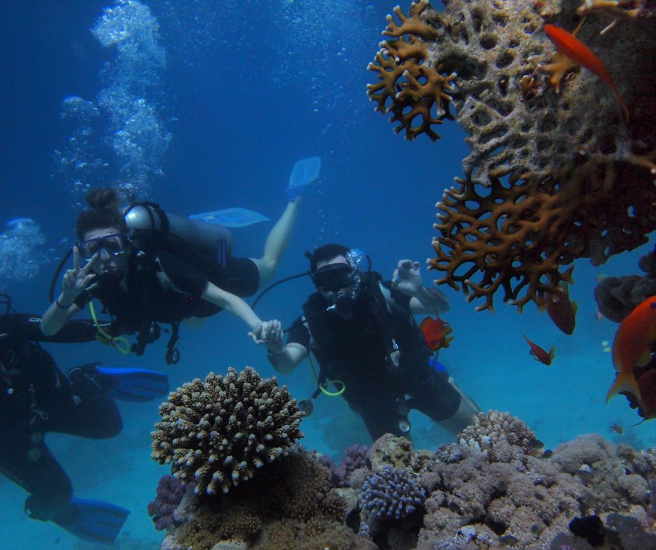 buceo cozumel