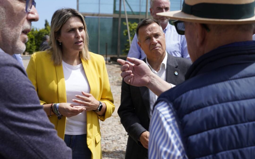 Barrachina reúne a parte del sector citrícola y pide a Europa que extienda el tratamiento en frío