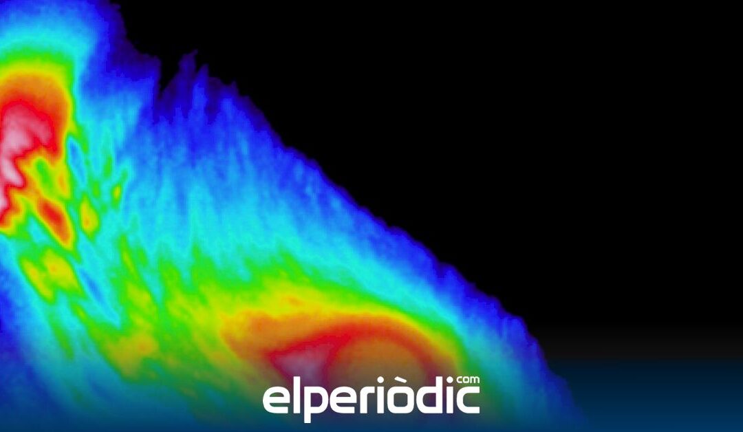 Un estudio logra la primera representación anatómica y funcional de la superficie ocular en el sistema nervioso central