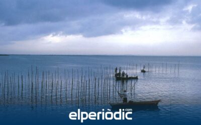 El Pleno aprueba una moción de condena del vertido de hidrocarburos en las playas de la Albufera e insta a tomar medidas legales