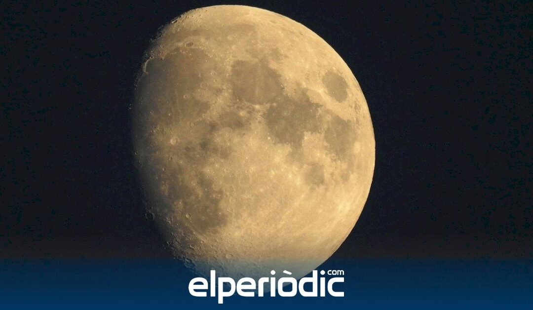 descubre sus secretos en una noche mágica