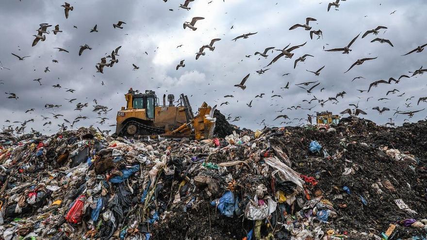 La expansión de la inteligencia artificial amenaza con generar hasta cinco millones de toneladas de basura electrónica