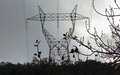 Red Eléctrica ordena otro parón de urgencia de fábricas por segundo día consecutivo
