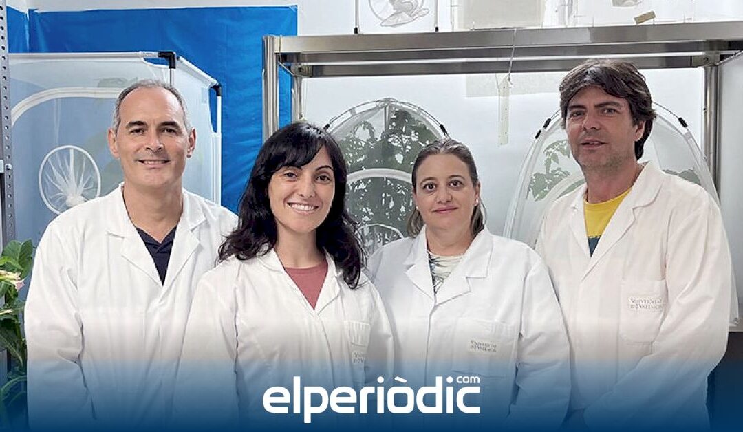 Una spin-off de la UV desarrollará sistemas de detección de patógenos orientados a la cría de insectos para la alimentación