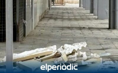 Un nuevo desprendimiento en el mercado de Abastos pone en riesgo la seguridad de la zona y revela su crítico estado