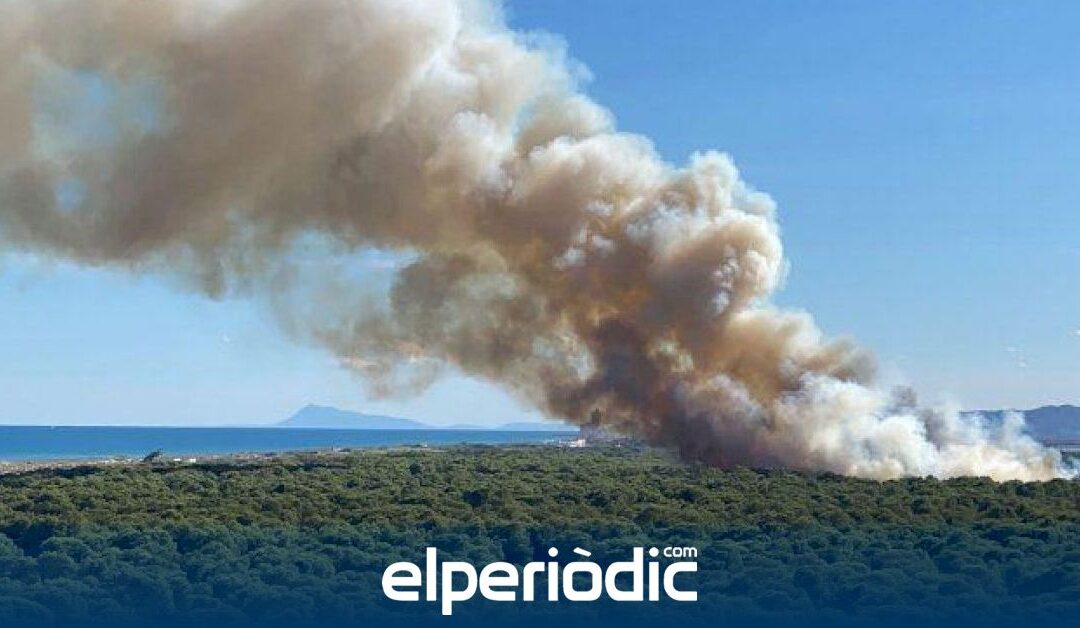 Condenado a nueve meses de prisión el pirómano de El Saler