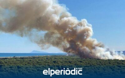 Condenado a nueve meses de prisión el pirómano de El Saler