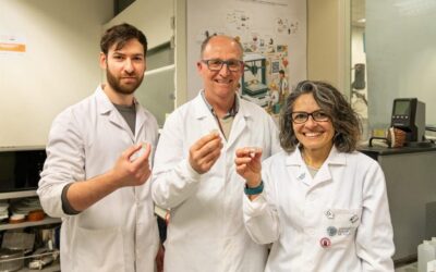 Investigadores valencianos crean unas gominolas con vitaminas y minerales para combatir carencias nutricionales
