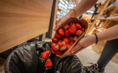 El desperdicio de alimentos en España cuesta cada año 250 millones de euros