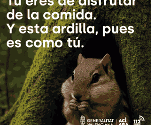 La jueza de la dana rechaza la unificación de las acusaciones