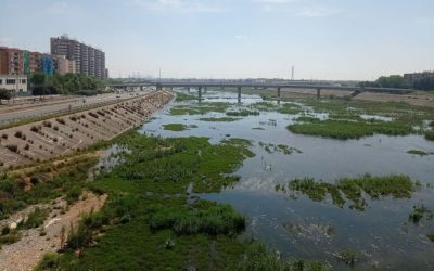 El Ayuntamiento de València asumirá la limpieza del nuevo cauce del Túria